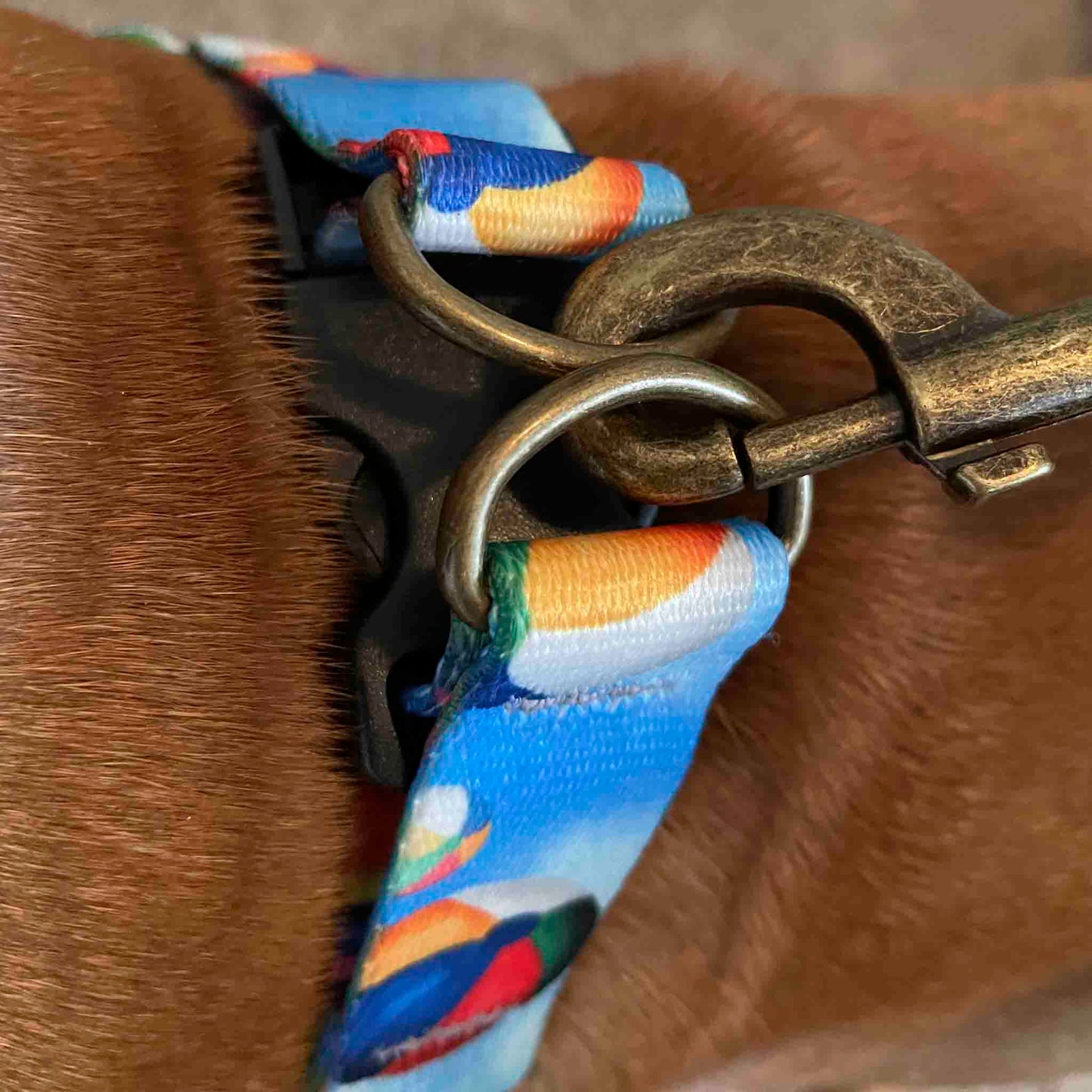 Playful Dog Harness
