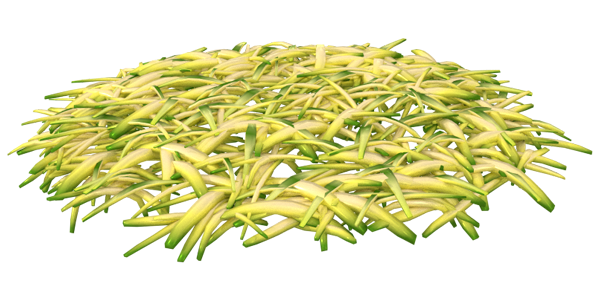 FRUIT AND VEG