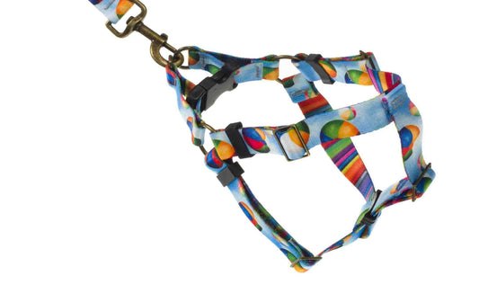Playful Dog Harness